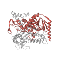 The deposited structure of PDB entry 2bs3 contains 2 copies of SCOP domain 51934 (Succinate dehydrogenase/fumarate reductase flavoprotein N-terminal domain) in Fumarate reductase flavoprotein subunit. Showing 1 copy in chain A.