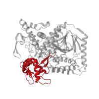The deposited structure of PDB entry 2bs3 contains 2 copies of SCOP domain 56426 (Succinate dehydrogenase/fumarate reductase flavoprotein, catalytic domain) in Fumarate reductase flavoprotein subunit. Showing 1 copy in chain A.