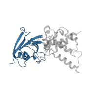 The deposited structure of PDB entry 2bs3 contains 2 copies of CATH domain 3.10.20.30 (Ubiquitin-like (UB roll)) in Fumarate reductase iron-sulfur subunit. Showing 1 copy in chain B.
