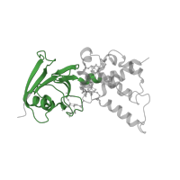 The deposited structure of PDB entry 2bs3 contains 2 copies of Pfam domain PF13085 (2Fe-2S iron-sulfur cluster binding domain) in Fumarate reductase iron-sulfur subunit. Showing 1 copy in chain B.