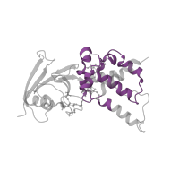The deposited structure of PDB entry 2bs3 contains 2 copies of Pfam domain PF13183 (4Fe-4S dicluster domain) in Fumarate reductase iron-sulfur subunit. Showing 1 copy in chain B.
