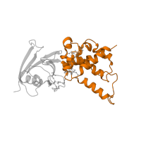 The deposited structure of PDB entry 2bs3 contains 2 copies of SCOP domain 46549 (Fumarate reductase/Succinate dehydogenase iron-sulfur protein, C-terminal domain) in Fumarate reductase iron-sulfur subunit. Showing 1 copy in chain B.