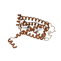 The deposited structure of PDB entry 2bs3 contains 2 copies of CATH domain 1.20.1300.10 (3 helical TM bundles of succinate and fumarate reductases) in Fumarate reductase cytochrome b subunit. Showing 1 copy in chain C.