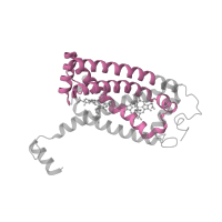 The deposited structure of PDB entry 2bs3 contains 2 copies of Pfam domain PF01127 (Succinate dehydrogenase/Fumarate reductase transmembrane subunit) in Fumarate reductase cytochrome b subunit. Showing 1 copy in chain C.