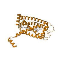 The deposited structure of PDB entry 2bs3 contains 2 copies of SCOP domain 56910 (Fumarate reductase respiratory complex cytochrome b subunit, FrdC) in Fumarate reductase cytochrome b subunit. Showing 1 copy in chain C.