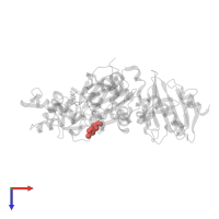 Modified residue HIC in PDB entry 2btf, assembly 1, top view.