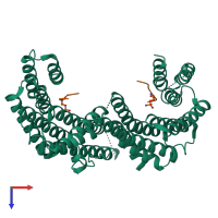 Hetero tetrameric assembly 1 of PDB entry 2btp coloured by chemically distinct molecules, top view.