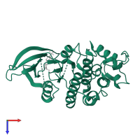 Cyclin-dependent kinase 2 in PDB entry 2bts, assembly 1, top view.