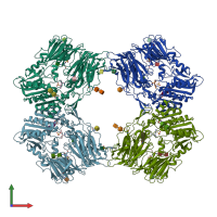 PDB entry 2bua coloured by chain, front view.
