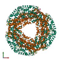 Hetero dodecameric assembly 1 of PDB entry 2bv8 coloured by chemically distinct molecules, front view.