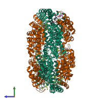 Hetero dodecameric assembly 1 of PDB entry 2bv8 coloured by chemically distinct molecules, side view.