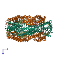 Hetero dodecameric assembly 1 of PDB entry 2bv8 coloured by chemically distinct molecules, top view.