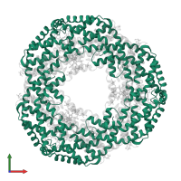 C-phycocyanin alpha subunit in PDB entry 2bv8, assembly 1, front view.
