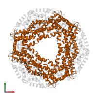 C-phycocyanin beta subunit in PDB entry 2bv8, assembly 1, front view.