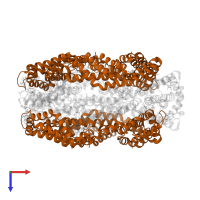 C-phycocyanin beta subunit in PDB entry 2bv8, assembly 1, top view.