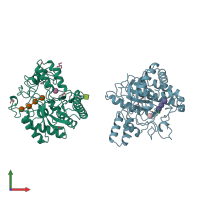 PDB entry 2bvw coloured by chain, front view.