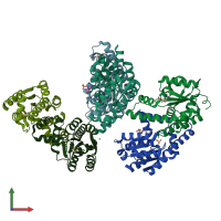 PDB entry 2bwj coloured by chain, front view.