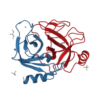 The deposited structure of PDB entry 2by6 contains 2 copies of CATH domain 2.40.10.10 (Thrombin, subunit H) in Serine protease 1. Showing 2 copies in chain A [auth X].