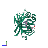 PDB entry 2byo coloured by chain, side view.