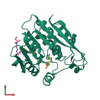 Monomeric assembly 1 of PDB entry 2bzg coloured by chemically distinct molecules, front view.