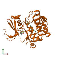 Hetero dimeric assembly 1 of PDB entry 2bzk coloured by chemically distinct molecules, front view.