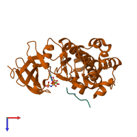 Hetero dimeric assembly 1 of PDB entry 2bzk coloured by chemically distinct molecules, top view.