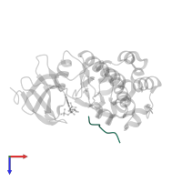 PIMTIDE in PDB entry 2bzk, assembly 1, top view.