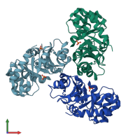 PDB entry 2c0a coloured by chain, front view.
