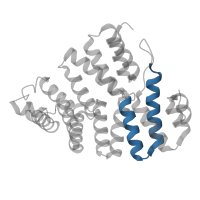 The deposited structure of PDB entry 2c0l contains 1 copy of Pfam domain PF13181 (Tetratricopeptide repeat) in Peroxisomal targeting signal 1 receptor. Showing 1 copy in chain A.