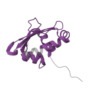 The deposited structure of PDB entry 2c0l contains 1 copy of Pfam domain PF02036 (SCP-2 sterol transfer family) in Sterol carrier protein 2. Showing 1 copy in chain B.