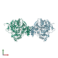 PDB entry 2c0p coloured by chain, front view.