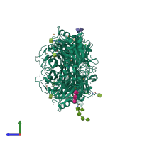 Homo dimeric assembly 1 of PDB entry 2c11 coloured by chemically distinct molecules, side view.