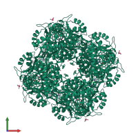 Homo octameric assembly 1 of PDB entry 2c13 coloured by chemically distinct molecules, front view.