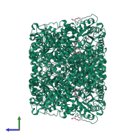 Homo octameric assembly 1 of PDB entry 2c13 coloured by chemically distinct molecules, side view.