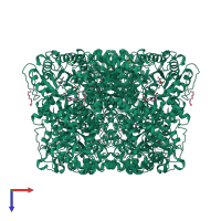 Homo octameric assembly 1 of PDB entry 2c13 coloured by chemically distinct molecules, top view.