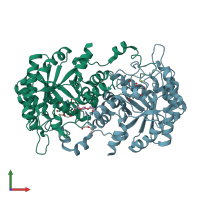 PDB entry 2c13 coloured by chain, front view.