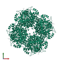 Delta-aminolevulinic acid dehydratase in PDB entry 2c13, assembly 1, front view.