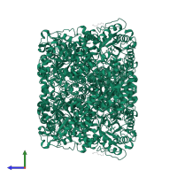 Delta-aminolevulinic acid dehydratase in PDB entry 2c13, assembly 1, side view.