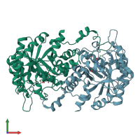 PDB entry 2c14 coloured by chain, front view.