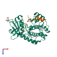 PDB entry 2c1b coloured by chain, top view.