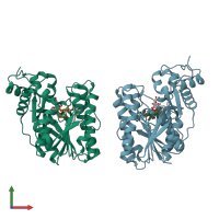 PDB entry 2c29 coloured by chain, front view.