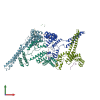 PDB entry 2c2l coloured by chain, front view.
