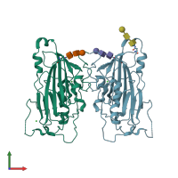 PDB entry 2c36 coloured by chain, front view.