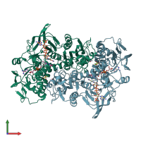 PDB entry 2c3c coloured by chain, front view.