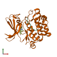 PDB entry 2c3i coloured by chain, front view.