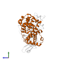 Cyclin-A2 in PDB entry 2c4g, assembly 1, side view.
