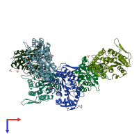 PDB entry 2c4k coloured by chain, top view.