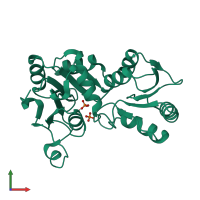 PDB entry 2c4n coloured by chain, front view.