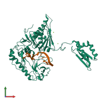 PDB entry 2c4r coloured by chain, front view.