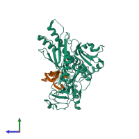 PDB entry 2c4r coloured by chain, side view.